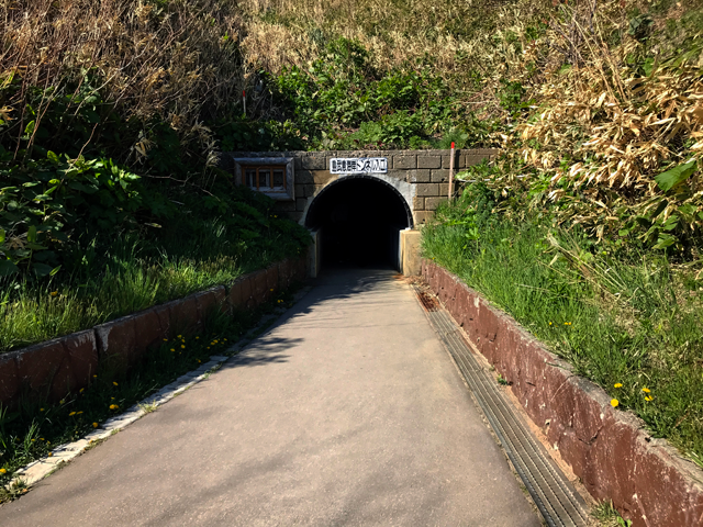 トンネルを抜けると鮮やかなブルーの海岸が見えます。