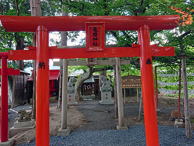 亀麿神社はここだけ空気感が違う。