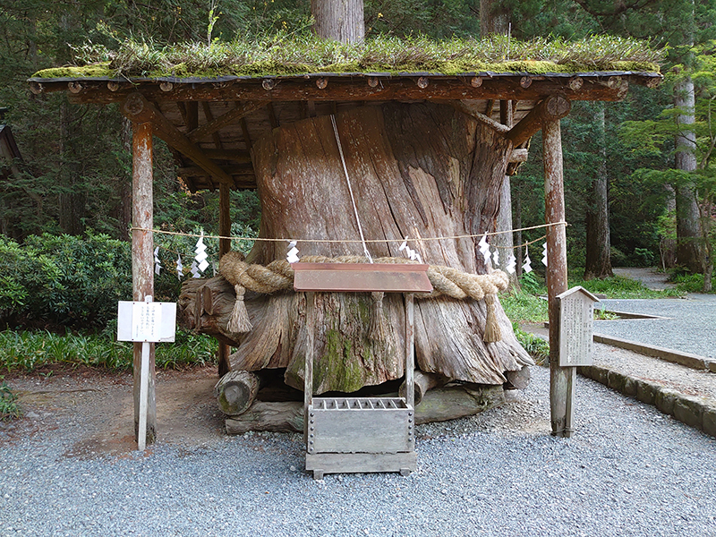 樹令1000年の大杉「御神木」中が空洞化しているので、屋根をつけて守っている。