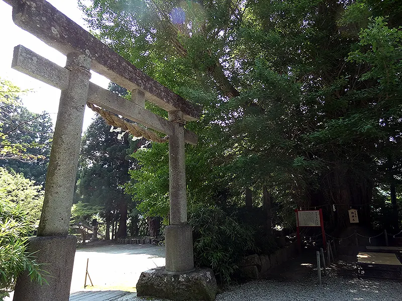 山寺の大イチョウｰ日枝神社への「鳥居ｰ②」